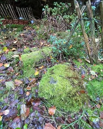 Apartamento Krimihaus Ostfriesland