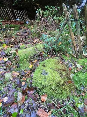 Apartamento Krimihaus Ostfriesland