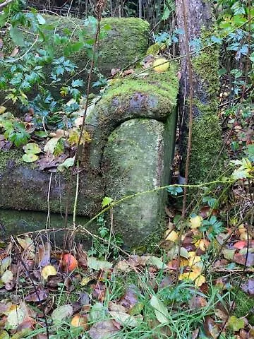 Krimihaus Ostfriesland Rhauderfehn
